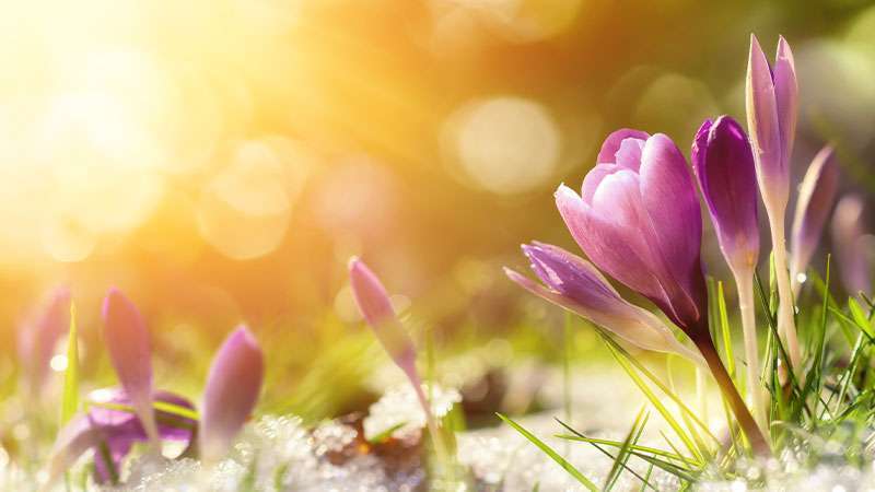 Park-Place-Retirement-Community-Newsletter-March-2023