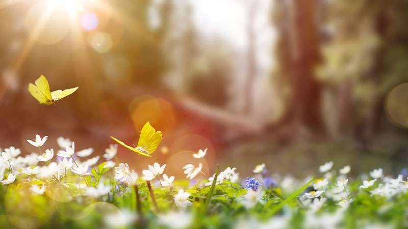 Park-Place-Retirement-Community-Newsletter-May-2023