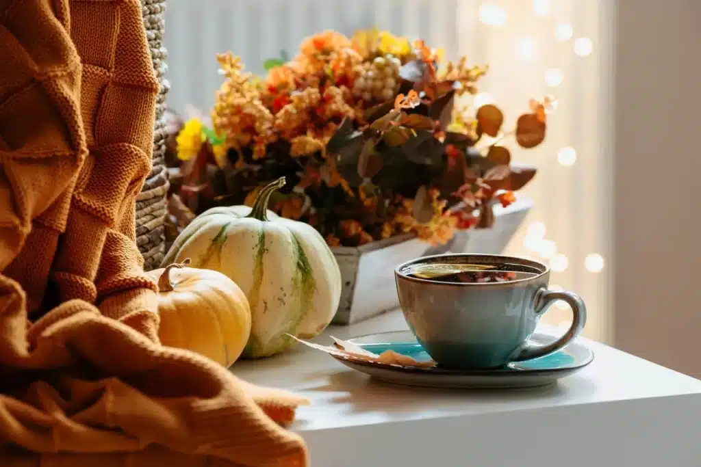 creating a cozy home